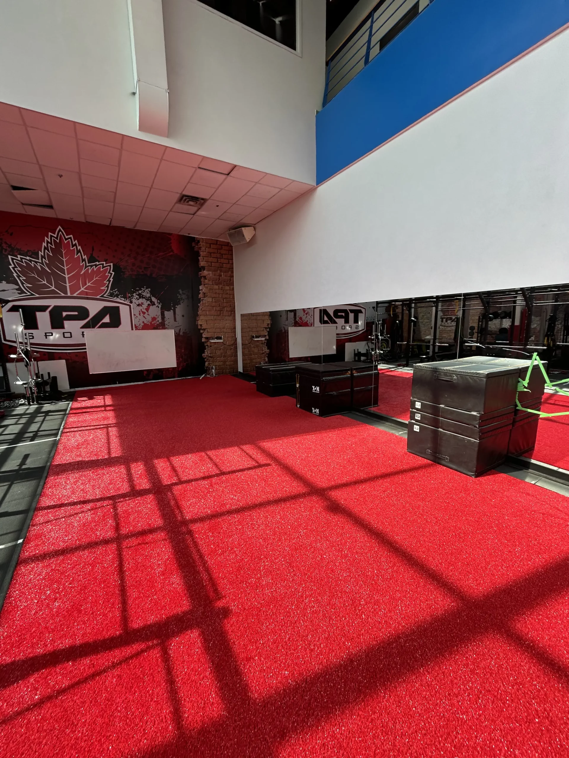 Synthetic grass lawn installed in Mississauga
