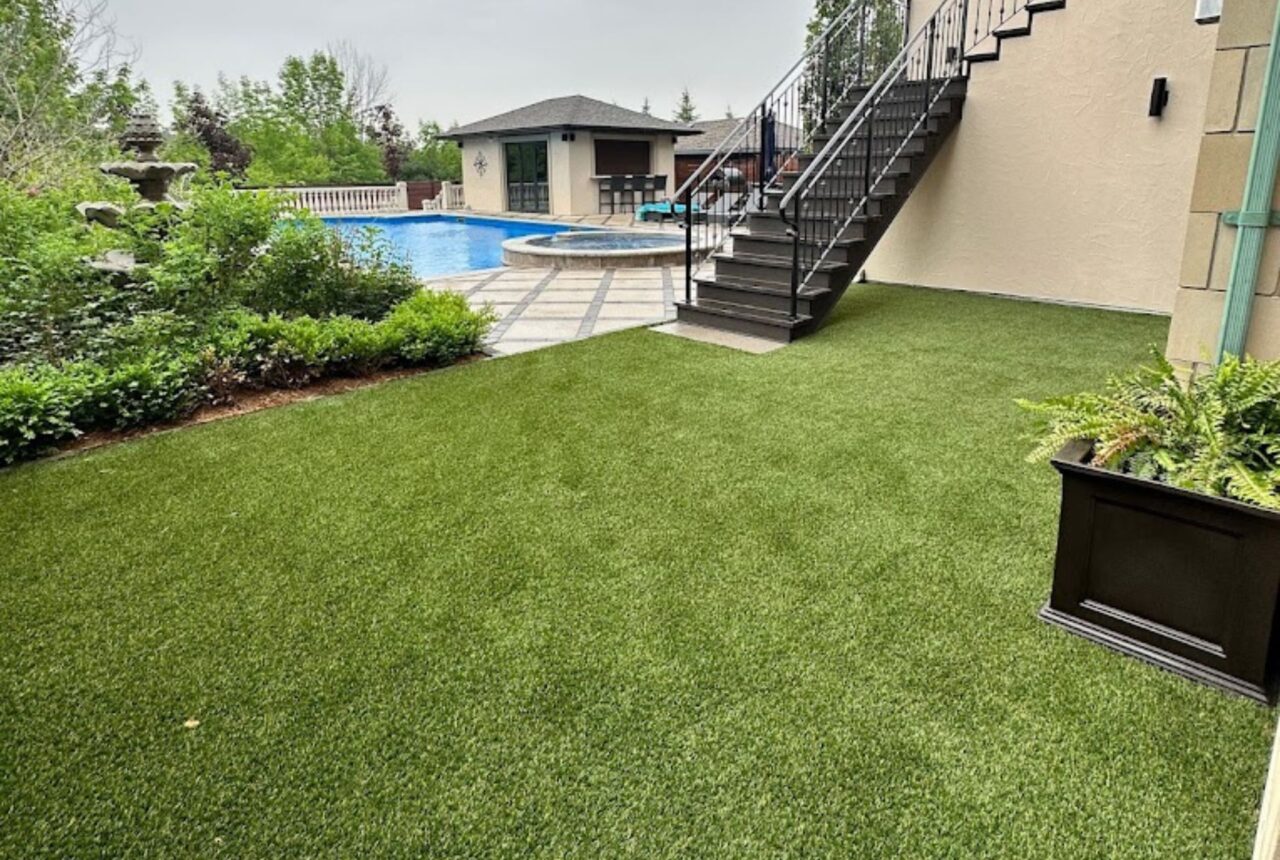 Clean artificial grass lawn for pets